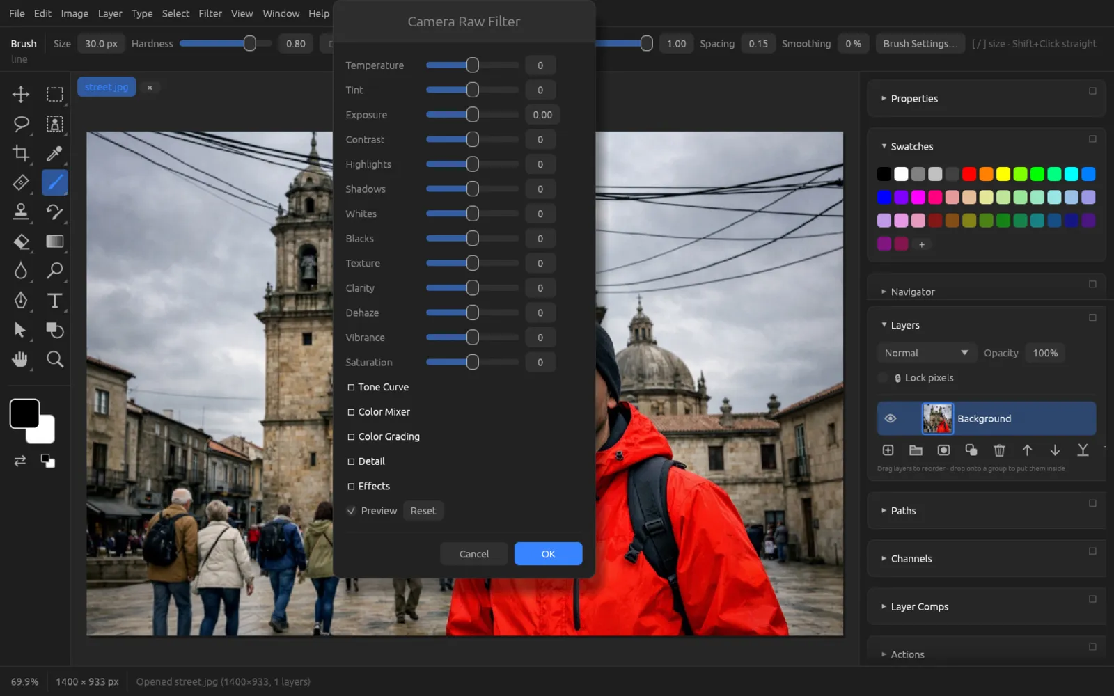 Camera Raw Filter dialog with basic sliders and expandable sections