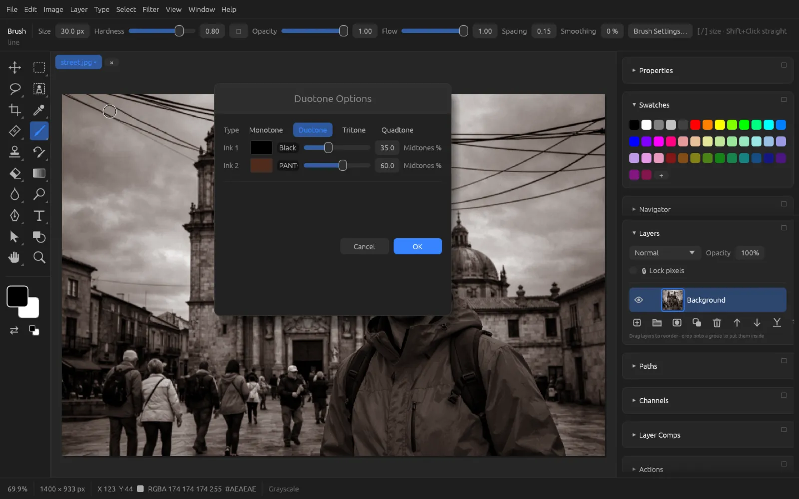 The Duotone Options dialog with two inks